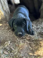 processed/6a01cff9-c4f9-409f-b7c5-b7398fdf697a/facility/d89627ba-0655-49bd-a13b-49eb64c6dca9