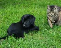 processed/6a01cff9-c4f9-409f-b7c5-b7398fdf697a/facility/f857dc54-d09c-44a3-aeca-1465a48f3914