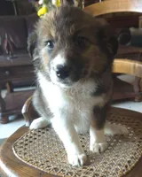 processed/6a03a841-763c-48fe-b6dd-81d4d4fdb5dd/listing/4499f74d-8460-4cf6-84f7-3f7a323b5525/5afdc229-4654-48d5-892b-c6e947b9a846