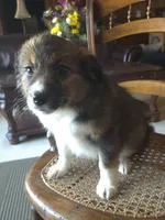 processed/6a03a841-763c-48fe-b6dd-81d4d4fdb5dd/listing/4499f74d-8460-4cf6-84f7-3f7a323b5525/a44293bb-9800-4181-b398-033b1357fc93