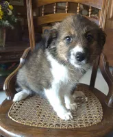 processed/6a03a841-763c-48fe-b6dd-81d4d4fdb5dd/listing/4499f74d-8460-4cf6-84f7-3f7a323b5525/d02a90f6-3831-4a78-ad0d-2fa93fca6d35