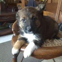 processed/6a03a841-763c-48fe-b6dd-81d4d4fdb5dd/listing/68440e02-e755-46bf-a1fa-0b35b16e01ee/c0a29b01-8dba-436c-9280-a293eb8af163