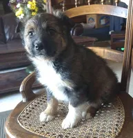 processed/6a03a841-763c-48fe-b6dd-81d4d4fdb5dd/listing/68440e02-e755-46bf-a1fa-0b35b16e01ee/d894be21-9f21-481e-9169-3ceb0a6e0aef