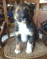 processed/6a03a841-763c-48fe-b6dd-81d4d4fdb5dd/listing/68440e02-e755-46bf-a1fa-0b35b16e01ee/f4a07869-e45d-4eb6-867c-eb31e13994ae