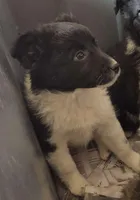 processed/6a03a841-763c-48fe-b6dd-81d4d4fdb5dd/listing/692bcd26-cbc6-4375-a4a6-bafbbd75b539/056cc8d0-88ed-4774-ab65-027e66c10056