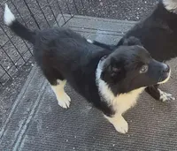 processed/6a03a841-763c-48fe-b6dd-81d4d4fdb5dd/listing/692bcd26-cbc6-4375-a4a6-bafbbd75b539/55dd4b8c-82b3-4adc-800d-f6e37f74d70e