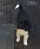 processed/6a03a841-763c-48fe-b6dd-81d4d4fdb5dd/listing/692bcd26-cbc6-4375-a4a6-bafbbd75b539/ab5415d5-d176-47c6-b0b3-65bcfc4bc2a3