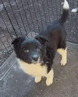 processed/6a03a841-763c-48fe-b6dd-81d4d4fdb5dd/listing/692bcd26-cbc6-4375-a4a6-bafbbd75b539/cd825fd1-13c2-44e3-9dc0-c5c023f91299