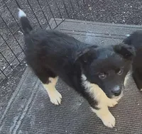 processed/6a03a841-763c-48fe-b6dd-81d4d4fdb5dd/listing/692bcd26-cbc6-4375-a4a6-bafbbd75b539/f62a7295-a89a-42ba-8f37-0639501d7191