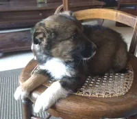 processed/6a03a841-763c-48fe-b6dd-81d4d4fdb5dd/listing/9cf86db7-de2b-4dd8-993e-a632f3deed8b/f2691a4f-3355-47f0-b992-eb60a7ba7218