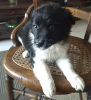 processed/6a03a841-763c-48fe-b6dd-81d4d4fdb5dd/listing/a383e4ed-21af-42b5-895d-68c61ecdd197/1abfb4af-43b7-411f-8e1e-7963ef4642ae