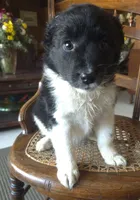 processed/6a03a841-763c-48fe-b6dd-81d4d4fdb5dd/listing/a383e4ed-21af-42b5-895d-68c61ecdd197/a8be9d4a-f372-4846-a45d-1a2836b87f73