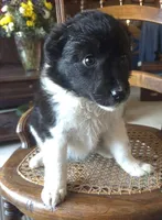 processed/6a03a841-763c-48fe-b6dd-81d4d4fdb5dd/listing/a383e4ed-21af-42b5-895d-68c61ecdd197/c3144849-d694-4999-ba41-bf74e5b6ea45