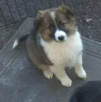 processed/6a03a841-763c-48fe-b6dd-81d4d4fdb5dd/listing/c3829bd6-8eae-41dd-8000-ea0355f9b4e8/21a36522-d2ac-46e9-ac4b-f9cc39553f0d