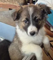 processed/6a03a841-763c-48fe-b6dd-81d4d4fdb5dd/listing/c3829bd6-8eae-41dd-8000-ea0355f9b4e8/2e9c6154-5d7b-49be-815d-6df967bbf3e0