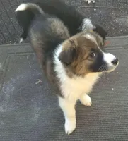 processed/6a03a841-763c-48fe-b6dd-81d4d4fdb5dd/listing/c3829bd6-8eae-41dd-8000-ea0355f9b4e8/685cfeb1-bf36-4d3f-bcaf-83d58a7196f2