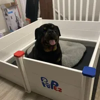 processed/6a053320-6fe0-4774-b4c0-93dc7aef8d19/facility/c8fd5695-4377-4687-855a-278f615cc366