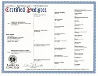 processed/6a053320-6fe0-4774-b4c0-93dc7aef8d19/listing/3bb60589-754b-45cd-81c8-7f5e5d636376/92f7ee3b-8f00-438d-b791-fda4ba6c0bad