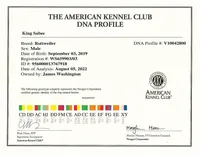 processed/6a053320-6fe0-4774-b4c0-93dc7aef8d19/listing/3bb60589-754b-45cd-81c8-7f5e5d636376/f6a6cfa0-4325-4ced-835b-73d692736fa5