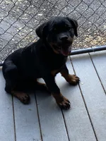 processed/6a053320-6fe0-4774-b4c0-93dc7aef8d19/listing/69f6953d-3abc-4813-b8de-e9dd27a04c59/b142c9ea-1ba4-49ac-bea0-51667580121b