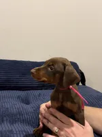 processed/6a068467-63ad-4c45-b7c5-b2cf5341f4e9/listing/e66f2c45-425e-49e6-9deb-978a9871bda5/9e09ff7a-3d10-47ab-be63-39e5a4f51770