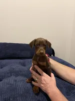 processed/6a068467-63ad-4c45-b7c5-b2cf5341f4e9/listing/e66f2c45-425e-49e6-9deb-978a9871bda5/a30bbe43-434d-4d54-9e43-223282ba4c27