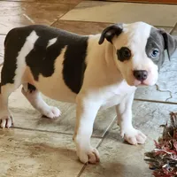 processed/6a0e7a33-7515-455a-9828-67e76408056e/facility/0fff7ca1-6405-4c74-b8a2-adcfdf8ba2d2