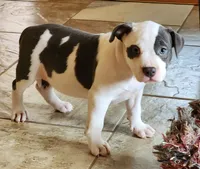 processed/6a0e7a33-7515-455a-9828-67e76408056e/facility/0fff7ca1-6405-4c74-b8a2-adcfdf8ba2d2