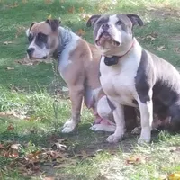 processed/6a0e7a33-7515-455a-9828-67e76408056e/facility/14330333-4496-4f9e-9015-c2fa15f50956