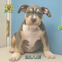 processed/6a0e7a33-7515-455a-9828-67e76408056e/facility/1a72ed96-8226-4e1f-aafe-728a3dbc9219