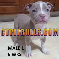 processed/6a0e7a33-7515-455a-9828-67e76408056e/facility/3c11baa4-2925-4cd7-92aa-dcbcf77d6331