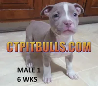 processed/6a0e7a33-7515-455a-9828-67e76408056e/facility/3c11baa4-2925-4cd7-92aa-dcbcf77d6331