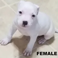 processed/6a0e7a33-7515-455a-9828-67e76408056e/facility/46486e71-b9a9-4681-a958-2f30fddc77ba