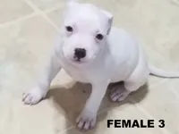 processed/6a0e7a33-7515-455a-9828-67e76408056e/facility/46486e71-b9a9-4681-a958-2f30fddc77ba