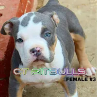 processed/6a0e7a33-7515-455a-9828-67e76408056e/facility/55bb2253-5f27-47f7-9ce4-15c95c026ec1