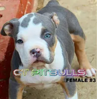 processed/6a0e7a33-7515-455a-9828-67e76408056e/facility/55bb2253-5f27-47f7-9ce4-15c95c026ec1