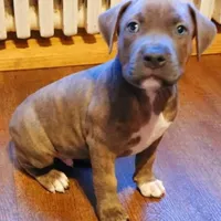 processed/6a0e7a33-7515-455a-9828-67e76408056e/facility/5bfea0df-9315-47bd-a343-a5d6ed798328