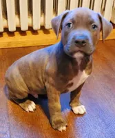 processed/6a0e7a33-7515-455a-9828-67e76408056e/facility/5bfea0df-9315-47bd-a343-a5d6ed798328