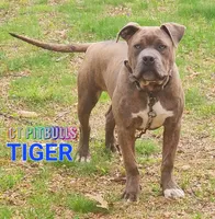 processed/6a0e7a33-7515-455a-9828-67e76408056e/facility/69db6d69-7c23-488b-9d63-b6fbd06c0dd6