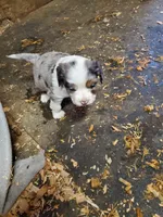 processed/6a150a1d-c70f-4cd5-87d7-2a93aef5e14b/listing/916f05a1-3620-406d-a695-82eed4045d36/77ed56c0-bb13-472d-a91d-0f399f3cd3f2