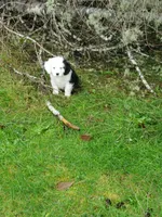 processed/6a150a1d-c70f-4cd5-87d7-2a93aef5e14b/listing/c5c36e05-04f8-4f6c-8c1a-de5832bd00f9/bef30b71-419c-49fb-8468-bc0b481d4f5f