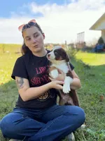 RTM2, a male Australian Shepherd for sale in Bowler, WI – 7 of 10
