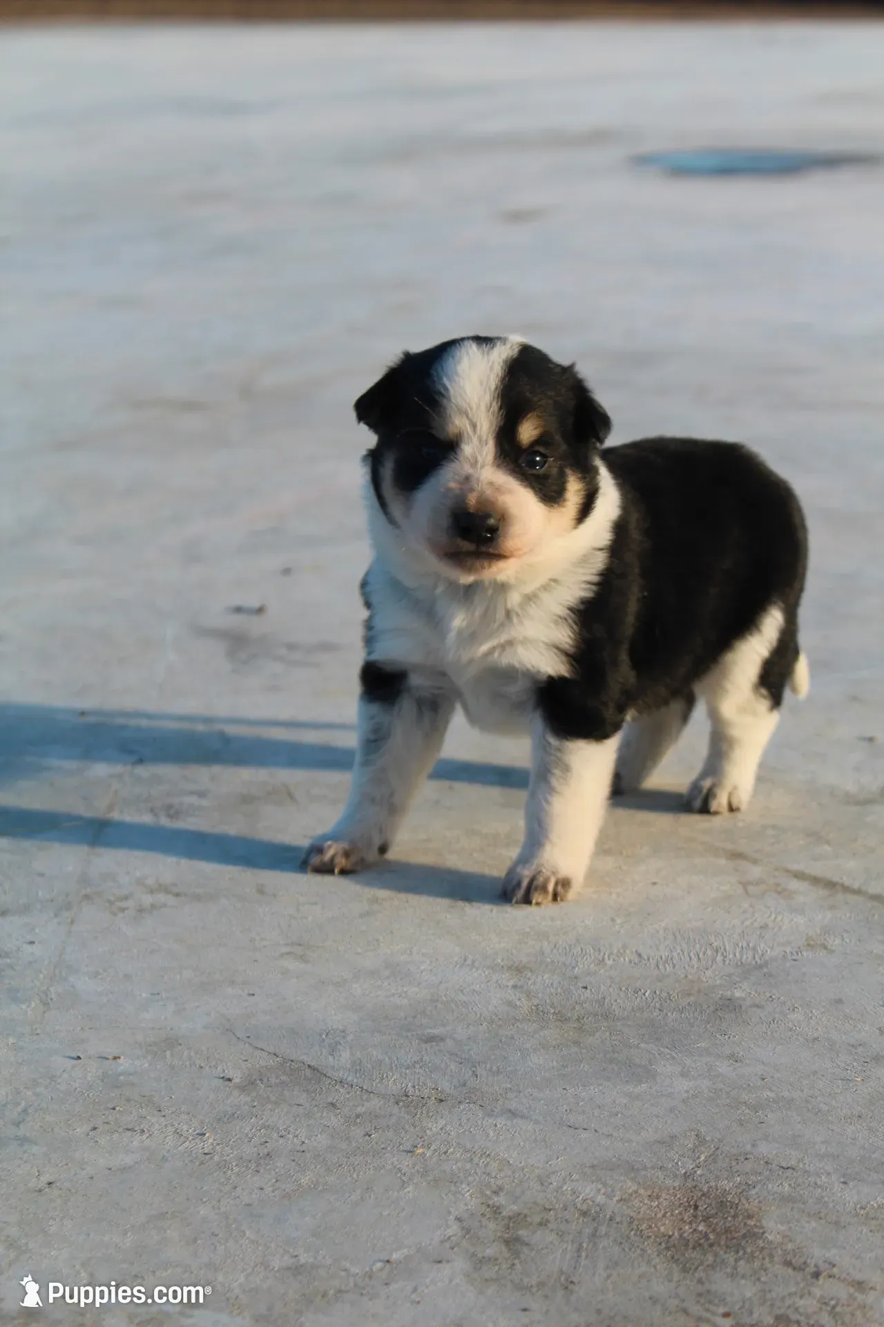 processed/6a1e1755-0eee-4217-9974-1d3625dad1d7/listing/05540b24-07f6-496f-8c43-992857a09d66/001f23b9-d3f7-4c3c-8126-ff500fa59907