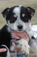 processed/6a1e1755-0eee-4217-9974-1d3625dad1d7/listing/05540b24-07f6-496f-8c43-992857a09d66/fbc18bfb-874f-4c25-9b61-15f06b451ef6