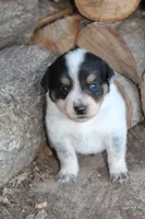 processed/6a1e1755-0eee-4217-9974-1d3625dad1d7/listing/ca26e21c-bd8e-47c1-9ebf-4eccf73d6768/15024d1f-db5f-4b10-9470-7e6f5dd68886