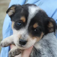 processed/6a1e1755-0eee-4217-9974-1d3625dad1d7/listing/ca26e21c-bd8e-47c1-9ebf-4eccf73d6768/7bfe07b9-641d-4f8d-8c75-494448b4e1cf