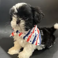 processed/6a23b9ba-69af-4c65-ae24-d04c6ab175a6/facility/94632fd1-70a3-4d99-a27c-1a2f1d1ce1d3