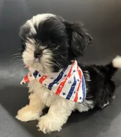 processed/6a23b9ba-69af-4c65-ae24-d04c6ab175a6/facility/94632fd1-70a3-4d99-a27c-1a2f1d1ce1d3