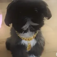 processed/6a23b9ba-69af-4c65-ae24-d04c6ab175a6/facility/c41f23a7-84fa-4292-9573-5ab7cea38a54