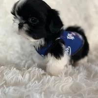 processed/6a23b9ba-69af-4c65-ae24-d04c6ab175a6/facility/caa815b8-da4a-4203-afe0-97cec5f2dd2a